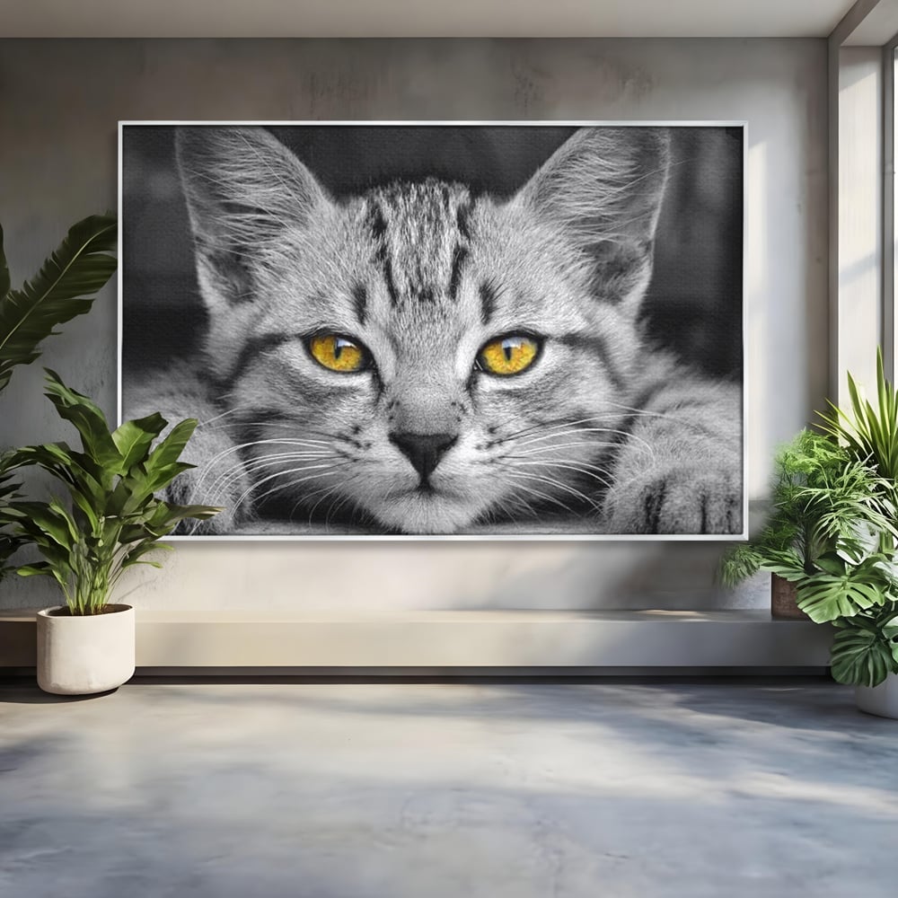 Tablou canvas cu tablou canvas cu o pisica alb-negru si ochi galbeni, in rama de aluminiu argintiu